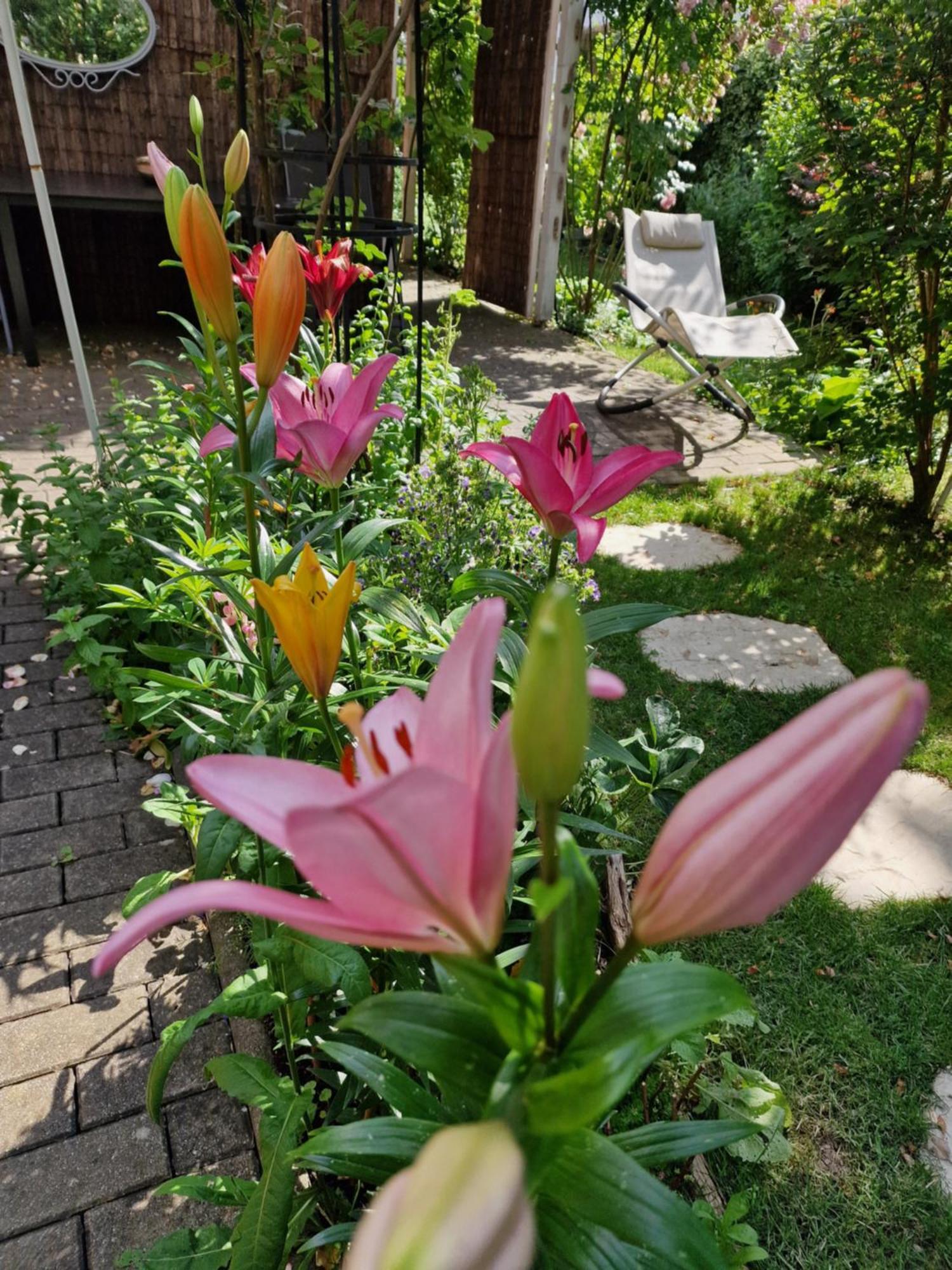 Ferienwohnung Domschatz Наумбург Экстерьер фото